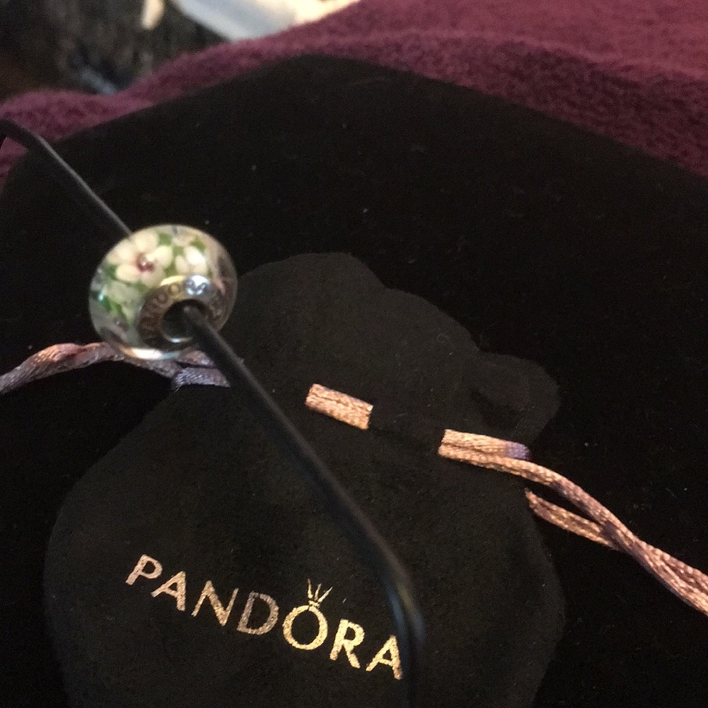 Authentic Pandora Charm - Picture 4 of 4